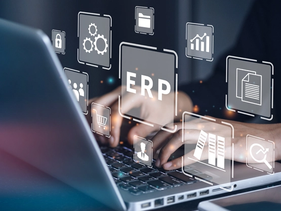 Software gestionali e sistemi ERP